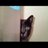 yokothekorat's profile image