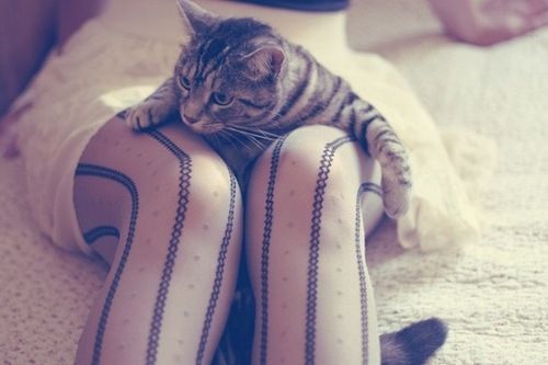1993.03.27.|Narnia|#1Dfamily #directioner|Life is beautiful...?!?!