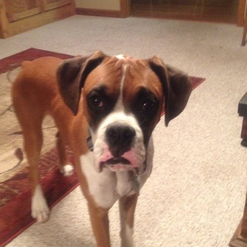 terrireeves's profile picture. Lovin life in The Classic City!