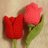 tulip_uae's profile image