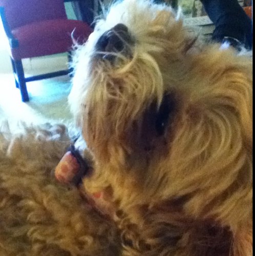 itijajglb's profile picture. 