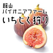 皮ごと食べられる！？いちじく狩り🍐/いちじくスイーツショップ🏡/完熟いちじくパフェ・生シェイク・アイス・ジャム🍨/化学合成農薬・化学肥料不使用/脱サラ/畑も無く0からの農業スタート/就農18年目突入/びわ・そら豆も栽培、加工してます☺️ /千葉県館山市