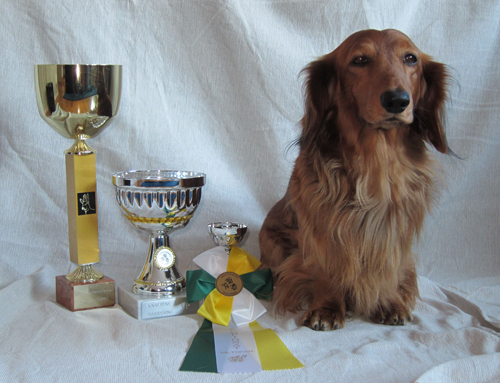 chelliut's profile picture. 5432FUN