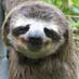 Rucca (@pustiner) Twitter profile photo