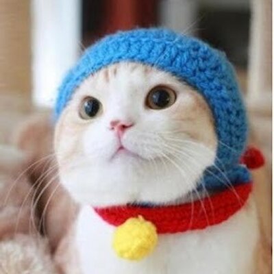 Uzivatel ron Ga Na Twitteru Fuzzyface 这些是贝塔犹太人吧 似乎以色列 刚建国的时候到60年代 曾经接纳了一批 据说对这批人偷偷搞过绝育 犹太人里面种族歧视也很严重 有点白人至上的意思 Twitter Uzivatel ron Ga Na Twitteru Fuzzyface 这些是贝塔犹太人吧 似乎以色列 刚建国的时候到60年代 曾经接纳了一批 据说对这批人偷偷搞过绝育 犹太人里面种族歧视也很严重 有点白人至上的意思 Twitter