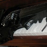 darkviolin (@darkviolin) 's Twitter Profile Photo