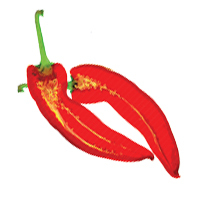RedPepperStudio's profile picture. With over forty years combined photographic experience, Red Pepper Studios is a joint venture run by two of the areas best known #photographers.