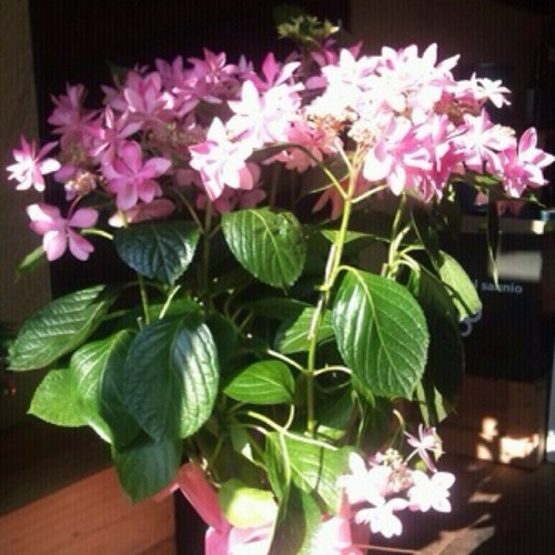 akzsn's profile picture. 