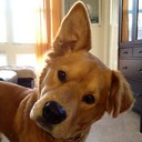 Scott Kinsella - @skinsella8 - Twitter