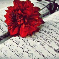 Tuğba YANIK (@t_ynk) Twitter profile photo