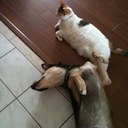 Glenn Weir - @GlennWeir - Twitter