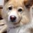 jhon_in's profile image