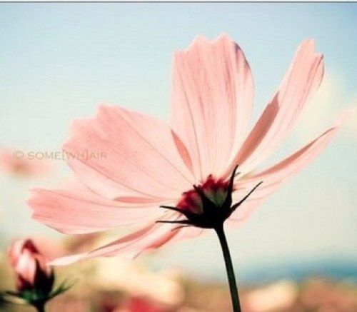 moo0oom222's profile picture. كن في الدنياء كأنك غريب أو عابر سبيل