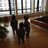 cesca_flamigni's profile image