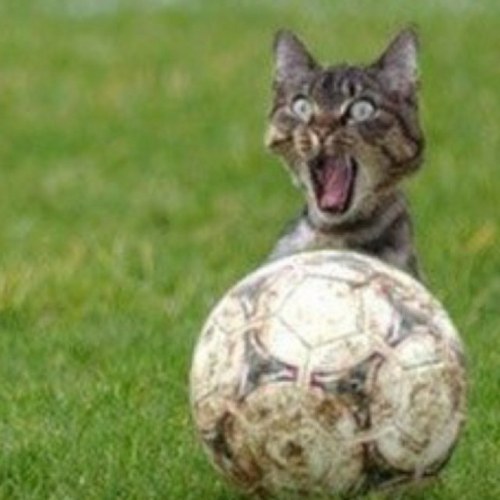 EmilWintermo's profile picture. 