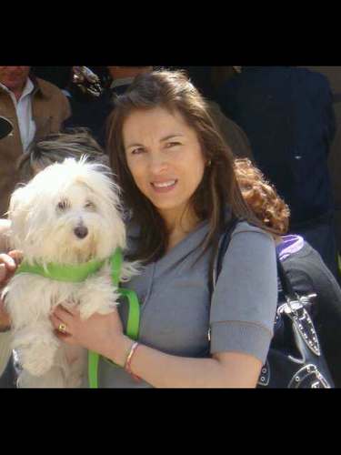 American Airlines flight attendant ,amo mi trabajo, mi familia y a mi perrita chloe