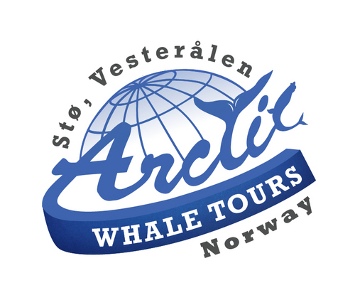 Arctic Whale Tours offer a full nature package: whale safari with bird and seal safari! We tweet about whales, wildlife, and culture in our small village Stø.