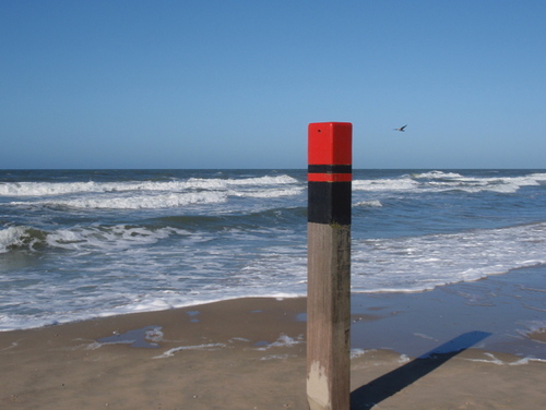 NewtonBusch's profile picture. Knusse vakantiewoningen in stolpboerderij vogeleiland Texel/Ferienwohnungen im Rietdachhaus Vogelinsel Texel