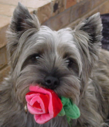 jackieboybauer's profile picture. 