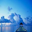 Deb Beck - @Momma_Beez - Twitter