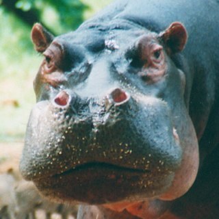 PhilipJAbel's profile picture. 