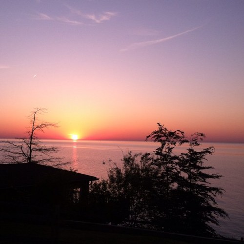 ChemNiche's profile picture. 