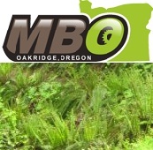 A mt. biker's dream weekend getaway in Oakridge, Oregon - home of Singletrack Paradise #MtBikeOregon #OROR
