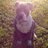 baldwin419's profile image