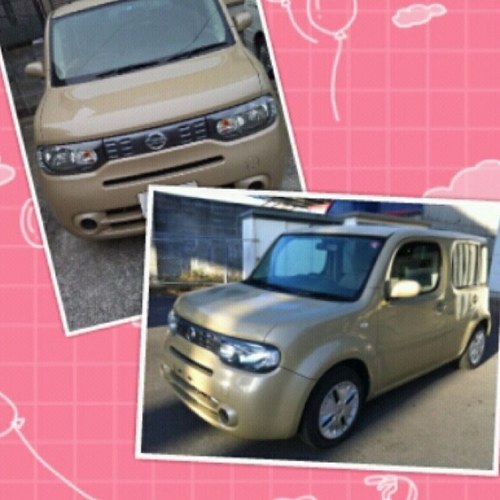 くまきゅー Cube4259 Twitter