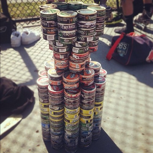 DipGrizzly's profile picture. Crack the tin, 3 fingers in, pack that lip, and let life begin