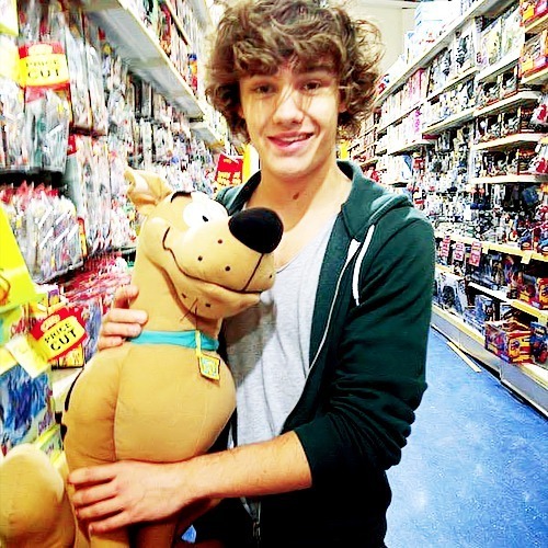 I am a Directioner and made this FC dedicated to Liam Payne member of boy band One Direction. I am Brazilian.  Since 30.04.2012.
