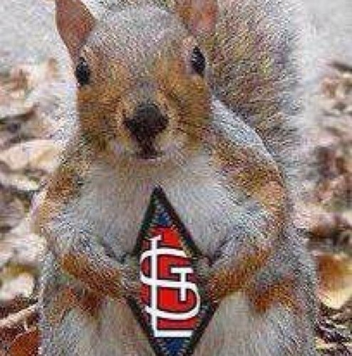 jwellenb's profile picture. 