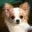 uchi1961's profile image