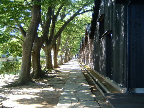 山形県の酒田観光物産協会です。こちらのアカウントでは酒田の観光情報等をお届けします。港町酒田は、豊かな自然と歴史、そして四季の味覚や美味しいお酒も自慢です。なお、ツイッター上でのお問合わせ、返信は行っておりませんのでご了承ください。http://t.co/DQZcNdAyxB