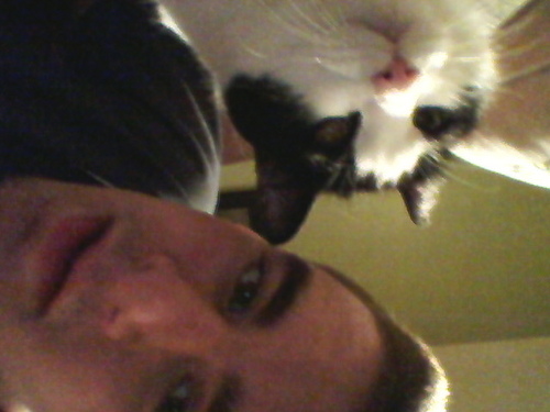 I like cats, Pretty Lights, infosec, and Active Directory.