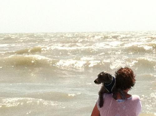 Sportsadd51's profile picture. 