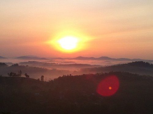 uncdebo's profile picture. 