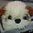 workhardbear's profile image