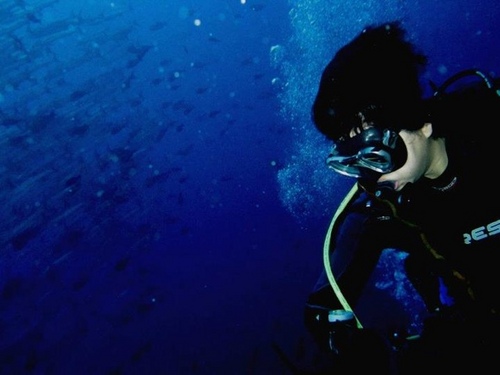 myewoks's profile picture. rambling