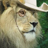 Pounce de Leon (@pennyforthii) 's Twitter Profile