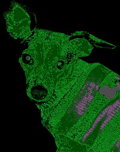 wyrdmaege's profile picture. 