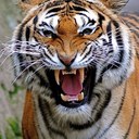 Rob Lloyd - @RobLloyd6 - Twitter