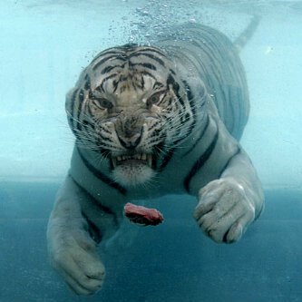 Martinzi_1212's profile picture. I'm me... Take me as I am or watch me as I walk away.