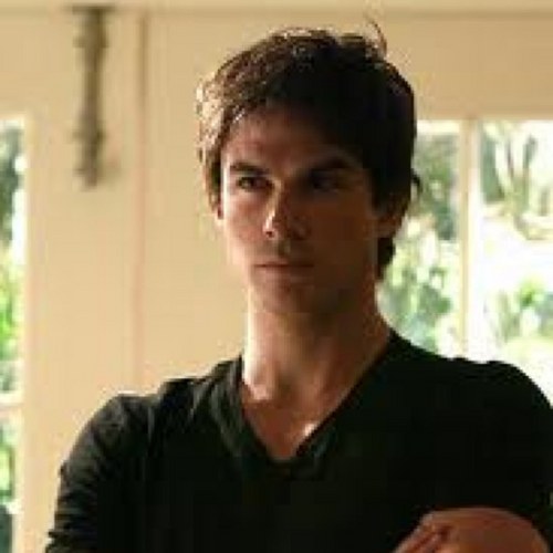 D_Salvatorex's profile picture. Wife: @Care_Forbesx Little Bro: @Stef_Salvatorex Sis-in-law: @XOElenaGilbertX Friend:@WitchBennet @Jer_GilbertX {RP}