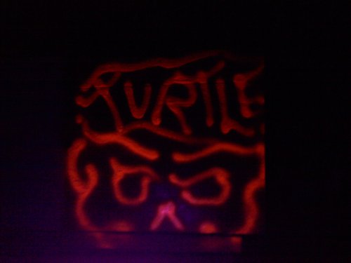 turtletime666's profile picture. 