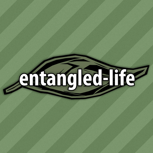 A Private Web Host and Minecraft Community!