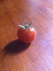 DawesPoint's profile picture. 