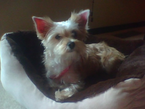 GlamourNails426's profile picture. 