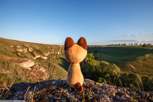 lenabondarenko's profile picture. 