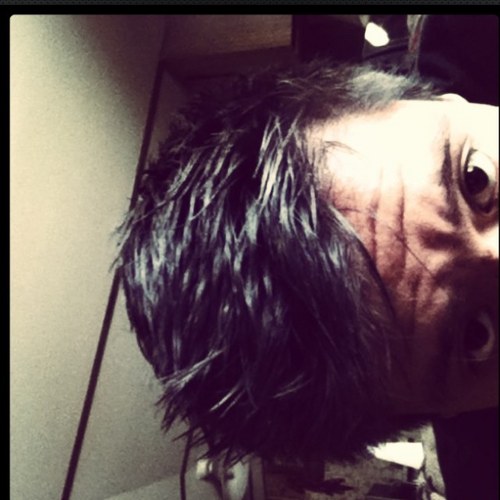 mistahjones12's profile picture. Native New Mexican | Engaged 💍| 🏳️‍🌈 and Proud | Navajo Diné | ASU Alum | UNM 🐾 In Pursuit